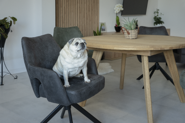 Funkcjonalne krzesło obrotowe VESPER w kolorze antracytowym skóra mielona