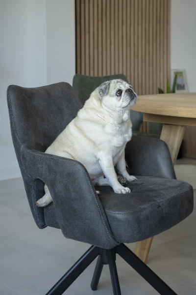 Funkcjonalne krzesło obrotowe VESPER w kolorze antracytowym skóra mielona